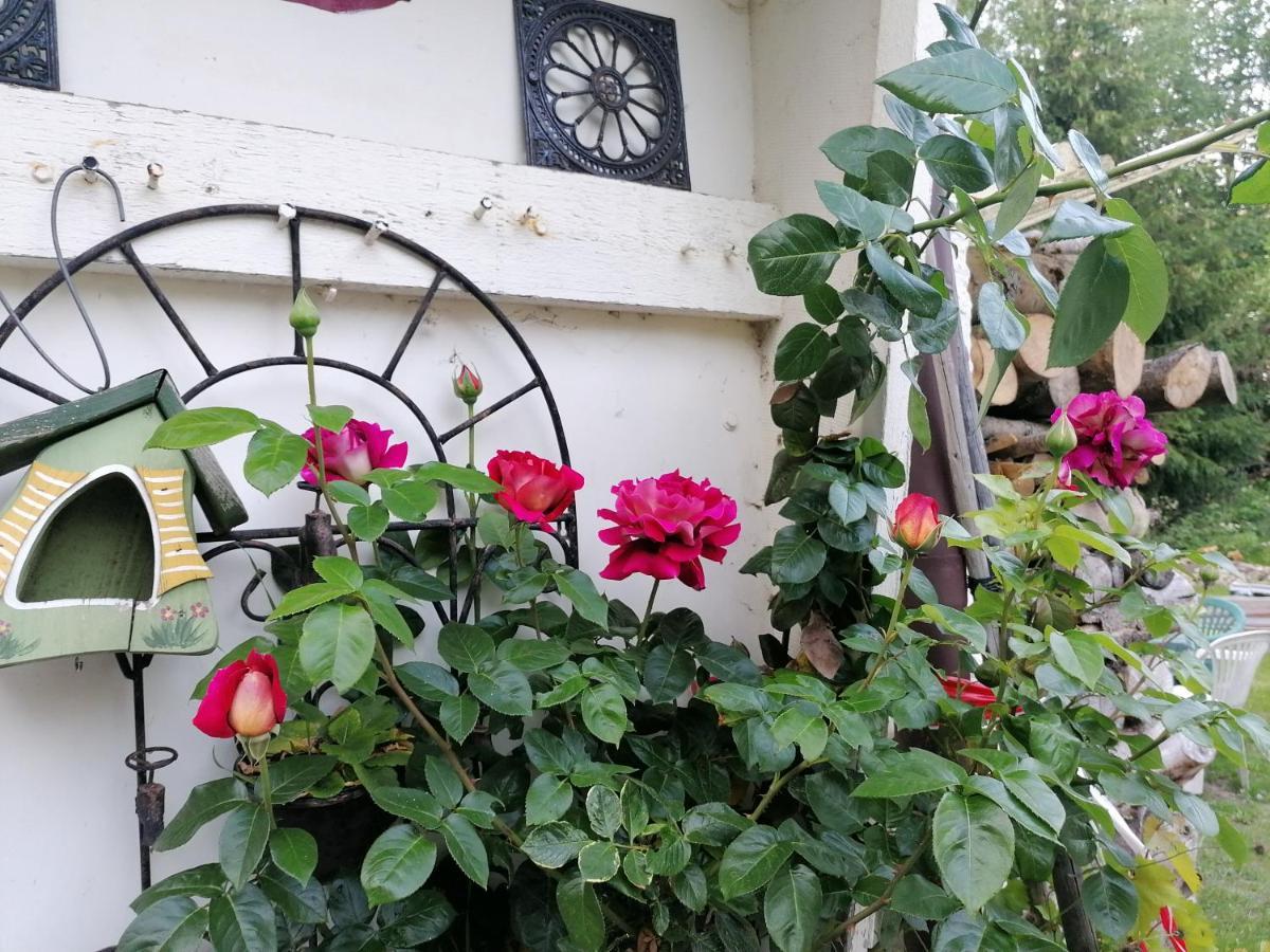Villa Viriditas Elbingerode  Zewnętrze zdjęcie