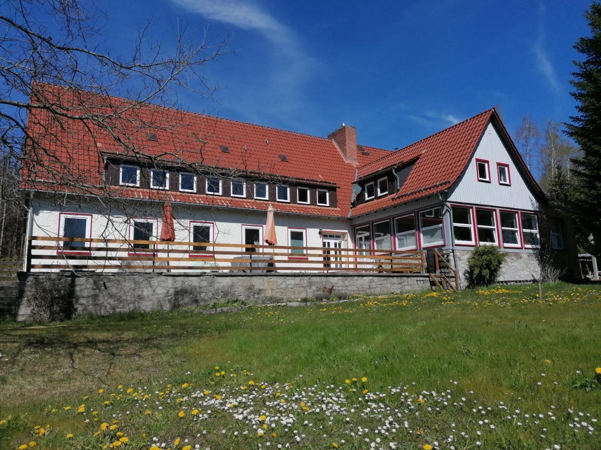 Villa Viriditas Elbingerode  Zewnętrze zdjęcie
